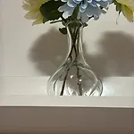 Il Plumbaco Palidoro