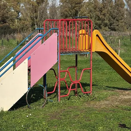 Il Plumbaco